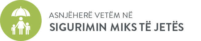 Sigurimi Miks i Jet&euml;s